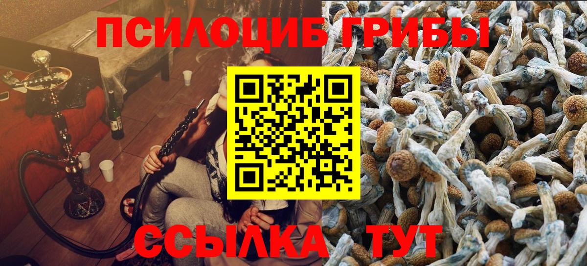 Псилоцибиновые грибы Magic Shrooms  Богородицк  Псилоцибиновые грибы Magic Shrooms 